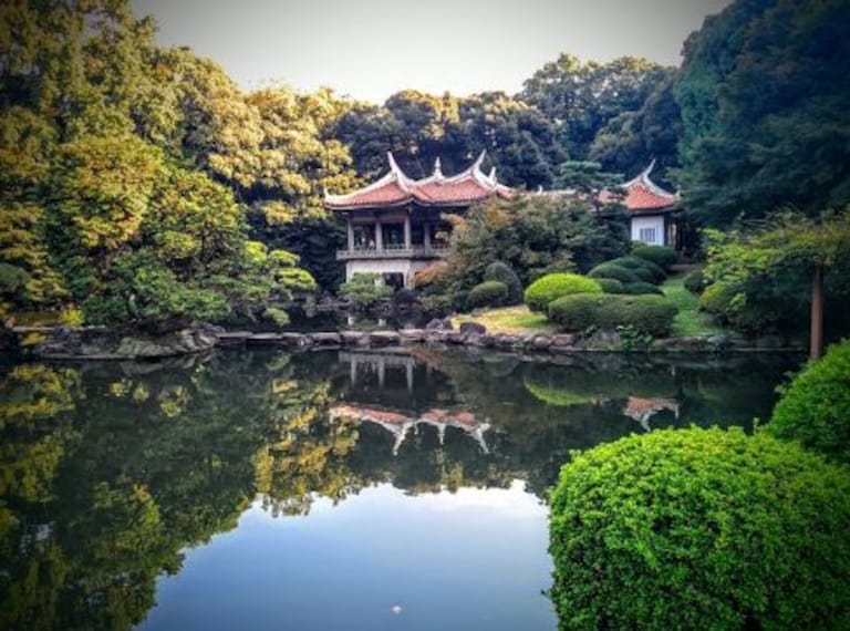Shinjuku Gyoen National Garden-3